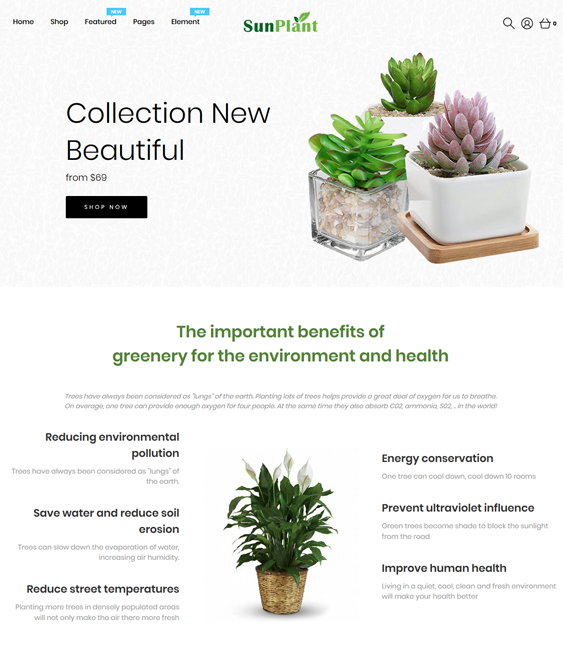 Shopify Themes For Selling House Plants