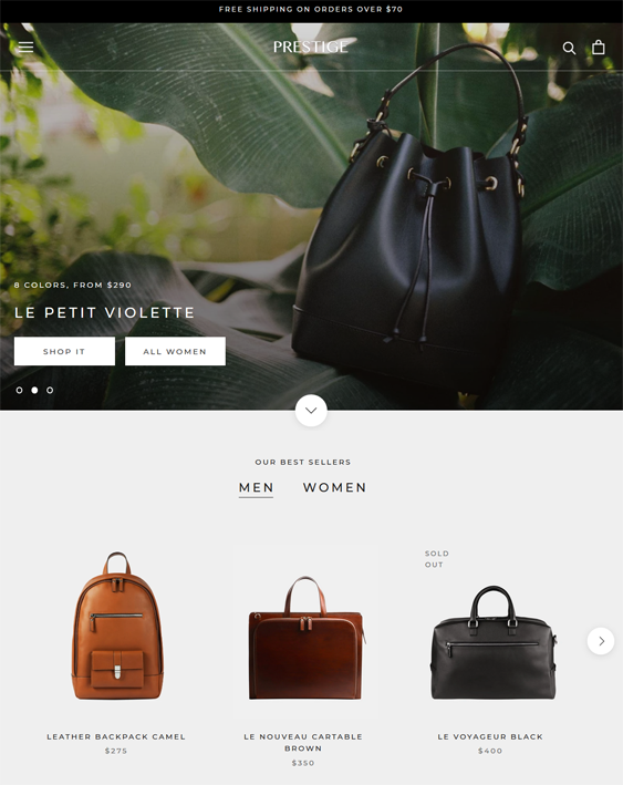 Shopify Themes For Backpack Stores