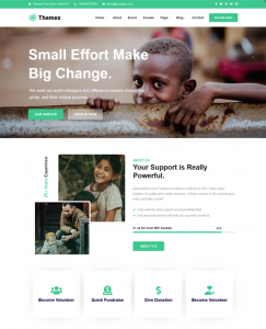 Charity And Nonprofit WordPress Themes feature