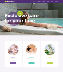 WordPress Themes For Beauty Salons And Spas feature
