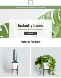 BigCommerce Themes For Selling Plants And Flowers feature
