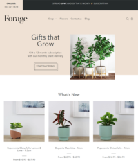 How Shopify Can Help You Build An Online Plant Store – Buildify