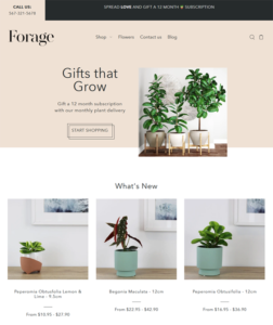 Shopify Themes For Selling Plants And Flowers feature