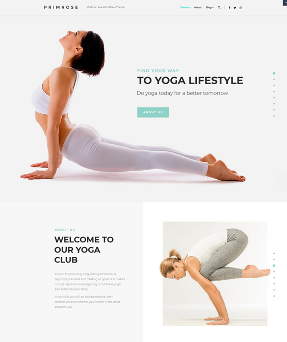 WordPress Themes For Yoga Teachers And Classes feature
