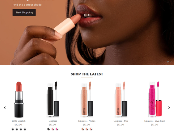 Shopify Themes For Makeup Artists feature