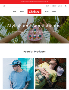 Breezy And Beautiful BigCommerce Themes For Summer 2022 feature