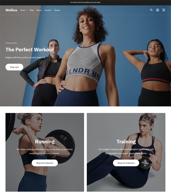 ira active activewear shopify theme