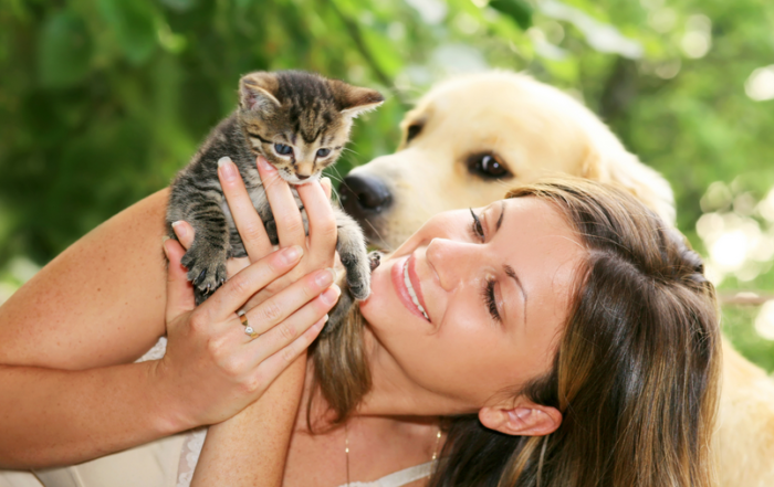 cat dogs shopify apps themes feature